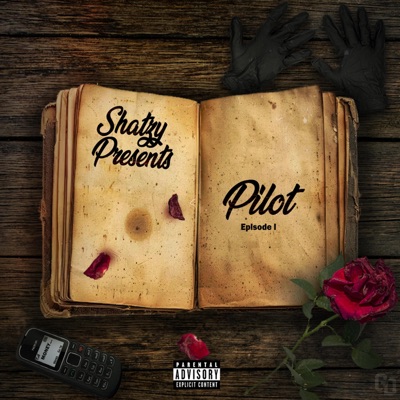 Pilot - Single