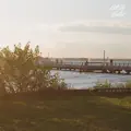 BITE THE BULLET