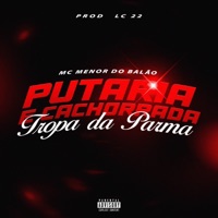 PUTARIA E CACHORRADA COM A TROPA DA PARMA E 31 - Single - MC MENOR DO BALÃO, DJ LC 22, DJ LG O ÚNICO & Lgzin e cabelinho
