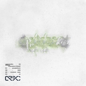 Transient State - EP