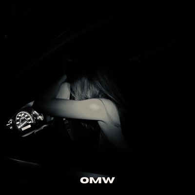 OMW... (feat. Lana Volkov) - Single