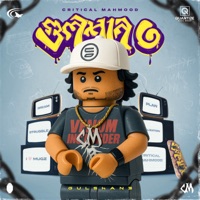 Gulshan 3 - Critical Mahmood