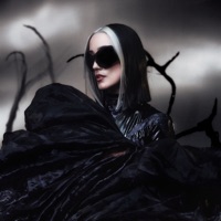 Freefall - Single - HAYLA