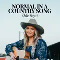 Normal In A Country Song