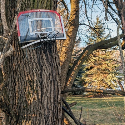 Frame the Picture Proper (feat. Tali Rodriguez, Sankofa & Chef Mike) - Single