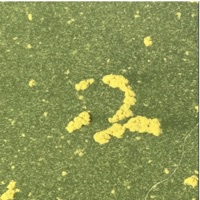 Megamind - Single - Mico<3