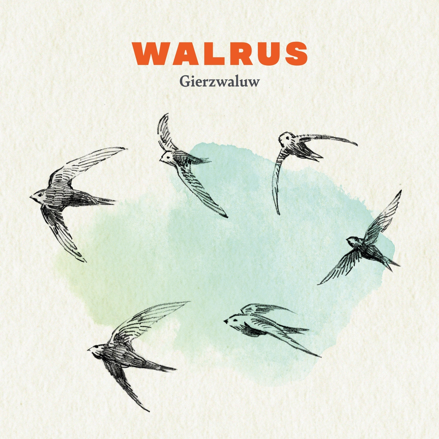Gierzwaluw