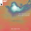 Promised Land (Solomun Remix) cover art