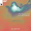 Promised Land (Solomun Remix)