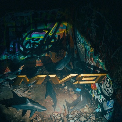 MV9 (Arden Remix) - Single