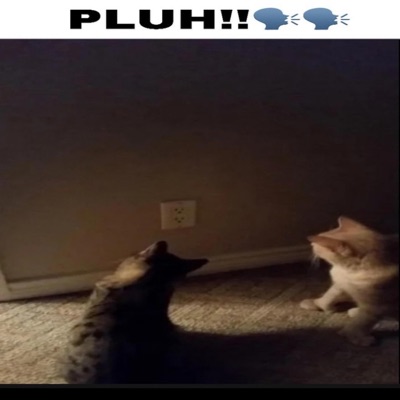 Plug! - Single