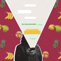 Me Mal Acostumbré (feat. Mito Rompe) - Single - Romanos Romanos Romanos