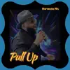 Sarasota Six - Pull Up