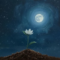 Flying Through The Clouds - Single - Sing Sing Rabbit