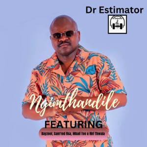 Ngimthandile (feat. Dayzoof, Sam'red Rsa, Riri Thwala & Mbali Tee)
