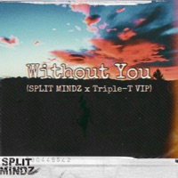 Without You (SPLIT MINDZ x Triple T VIP) - Single - SPLIT MINDZ