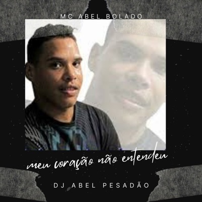 Meu Coração Não Entendeu