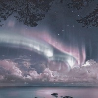 never - Single - OGMaTrizz