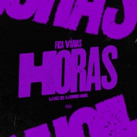 Fica Várias Horas - Single - DJ Gomes Original & DJ Lucas ZN
