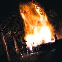 HELL LET LOOSE - Single - Hellcuddah & Purrp Da Poet