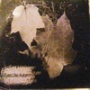 Jules Verne Jules Verne (feat. Eyes Like Autumn) Demo (Eyes Like Autumn) [feat. Eyes Like Autumn] - Single