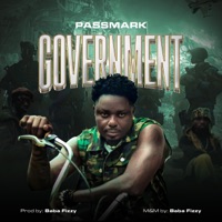Goverment - Single - Passmark