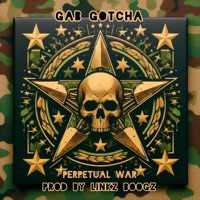Perpetual War - Single - Gab Gotcha