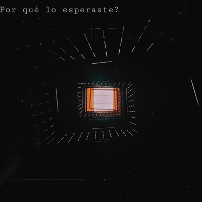 Por Qué Lo Esperaste? - Single