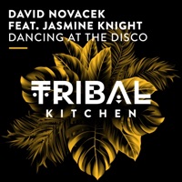 Dancing at the Disco (feat. Jasmine Knight) - Single - David Novacek