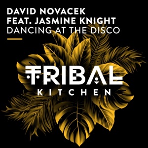 Dancing at the Disco (feat. Jasmine Knight) - Single