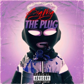 THE PLUG BigWig