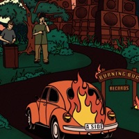 Dub Warning - Single - Lewis Bennett & Indra MC