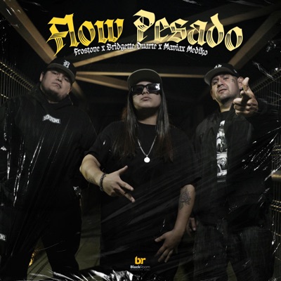 Flow Pesao (feat. Maniax Mediko & Bridgette Duarte) - Single