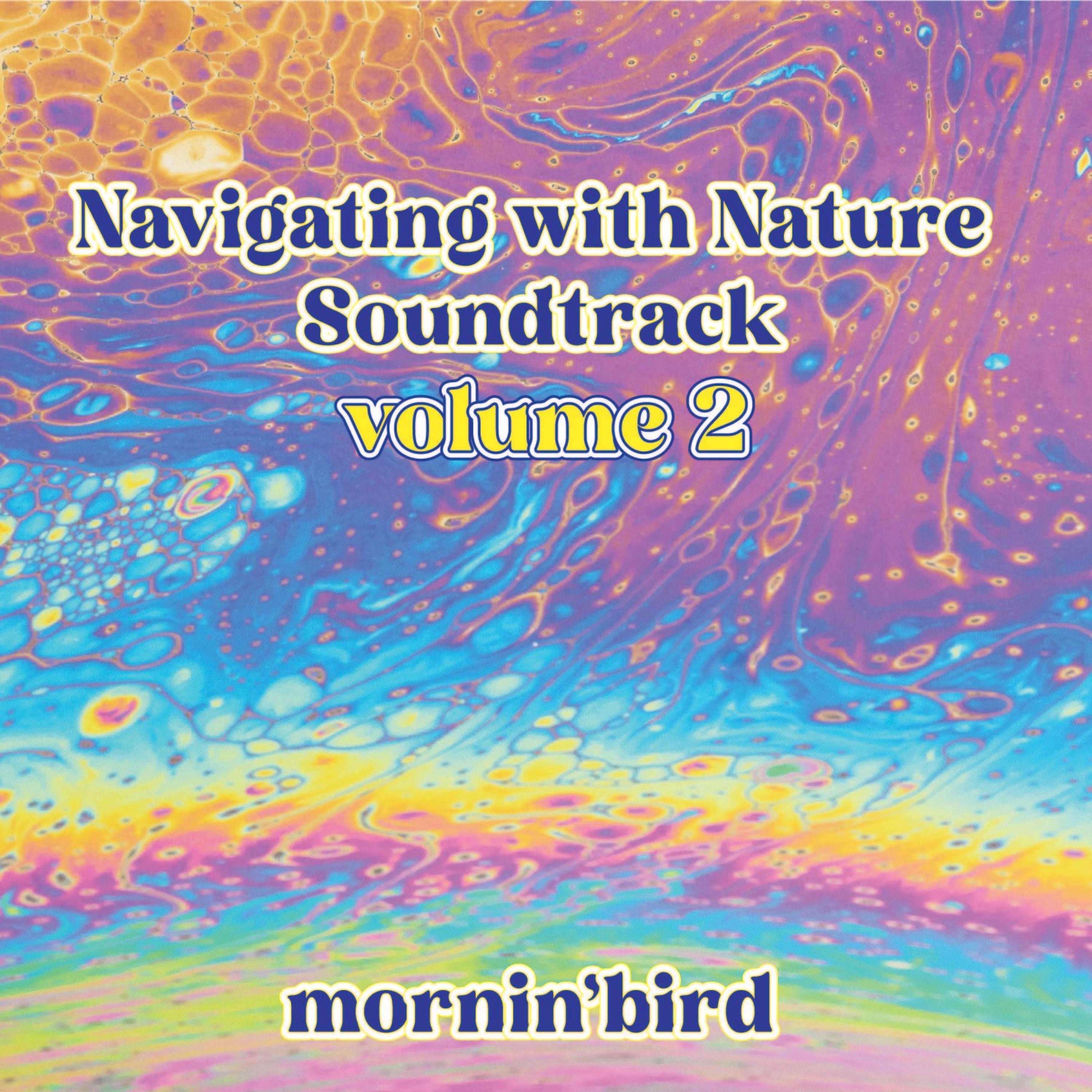 Navigating with Nature (original soundtrack) Volume 2
