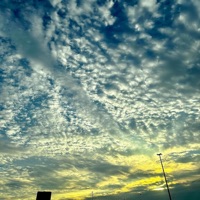 Used 2 Being On My Own - Single - Killxdre