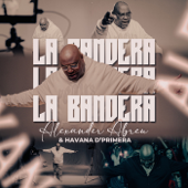 La Bandera song art