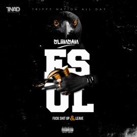 FSUL (F**k Shit Up & Leave) Sliimsam