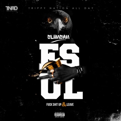 FSUL (Fuck Shit Up & Leave) - Single