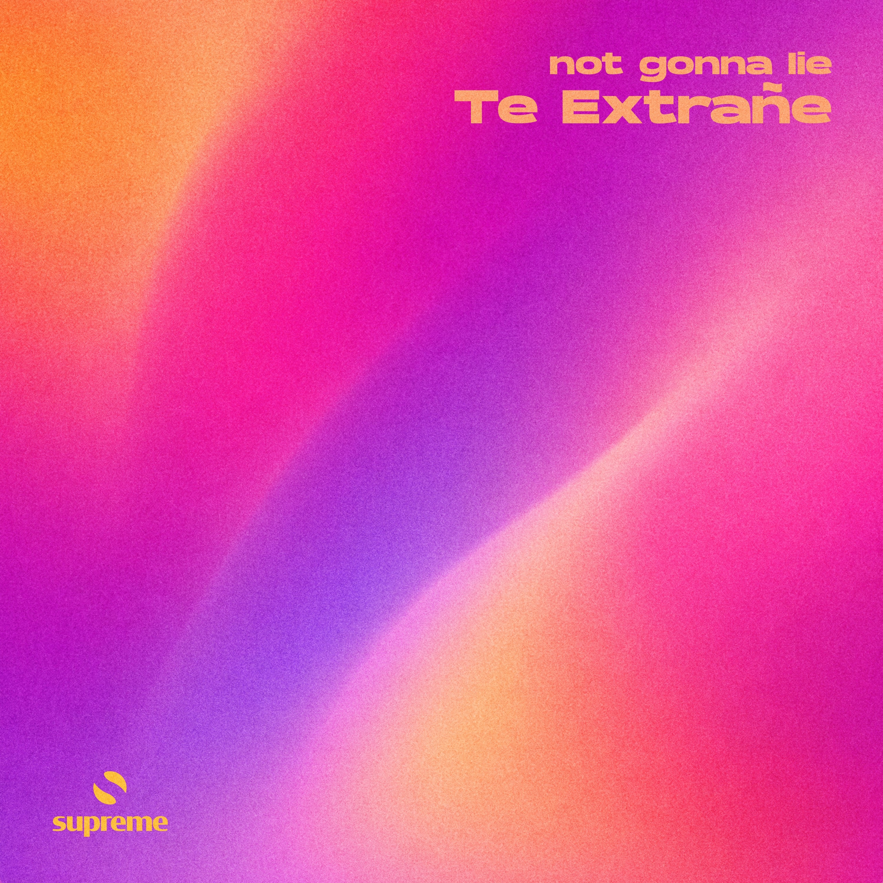 Te Extrañe - Single