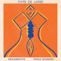 Pote de Cores (feat. Selma Uamusse) - Single - Caramelows