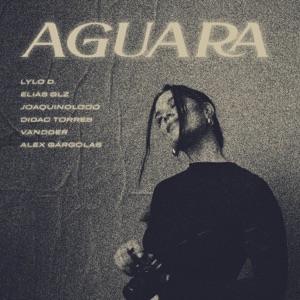 AGUARA (feat. Vandder, Didac Torres & Joaquinoloco)