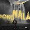 Dokonalá
