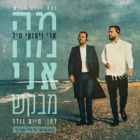 מה אני מבקש - Single - Ari Hill & Yanky Hill