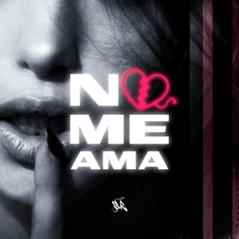 No Me Ama (feat. Ready Boy) Zopitrone El santo diablo