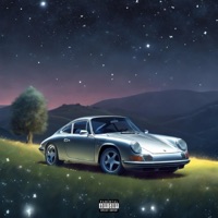 D.W.T.S. - Single - Laurent