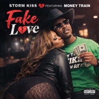 Fake Love (feat. Money Train) - Single - Storm kiss