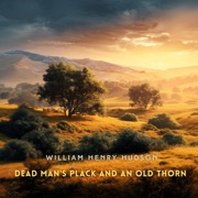 Dead Man's Plack and an Old Thorn - William Henry Hudson