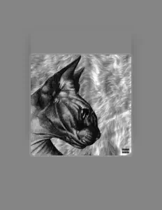 Listen to KITO, watch music videos, read bio, see tour dates & more!
