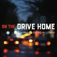 On the Drive Home — David W Litwin