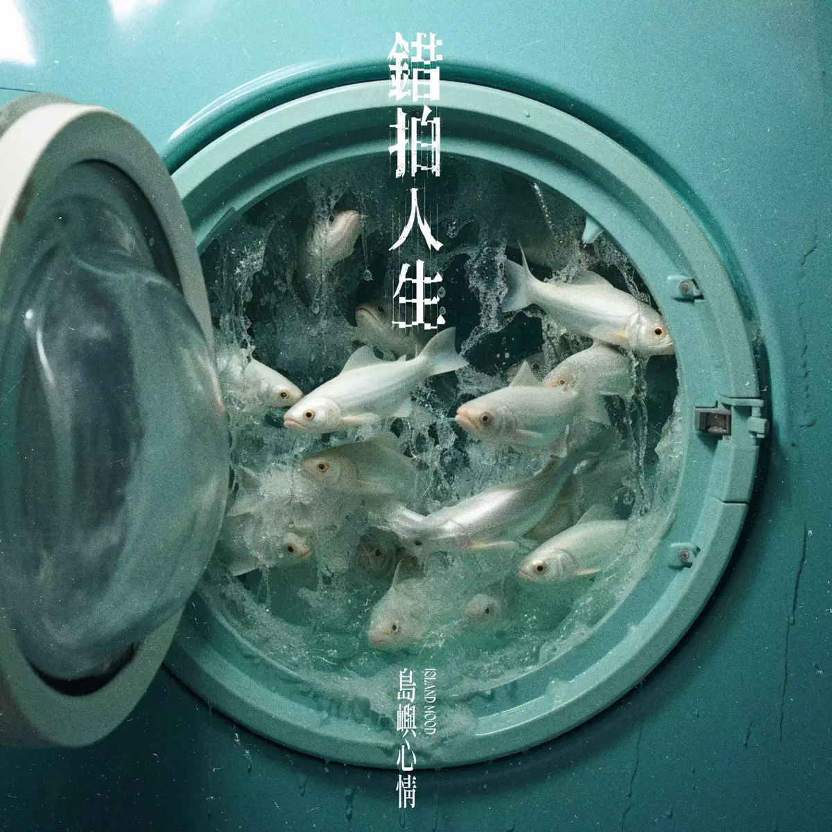 岛屿心情 - 错拍人生 - Single (2024) [iTunes Plus AAC M4A]-新房子